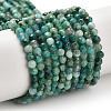 Natural Chrysocolla Beads Strands G-K373-B05-02-2