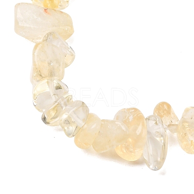 Natural Citrine Beads Strands G-P332-51-1