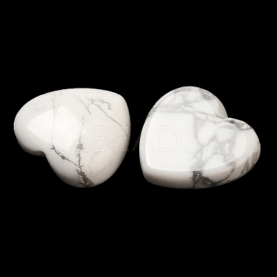 Natural Howlite Cabochons G-F776-02A-24-1