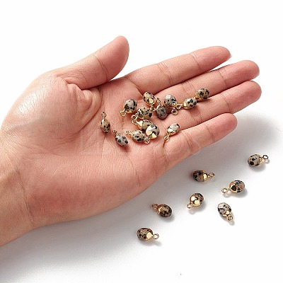 Electroplate Natural Dalmatian Jasper Charms G-S344-09C-1