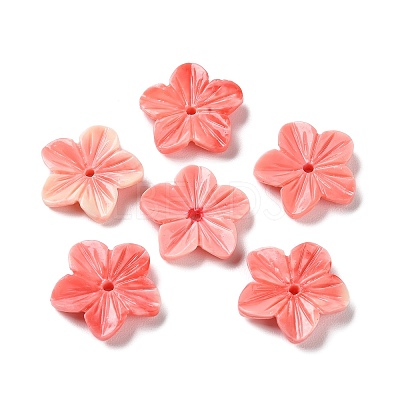 Synthetic Shell Dyed Beads SHEL-K007-04-1