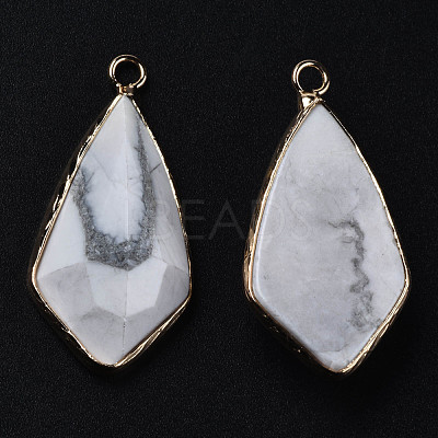 Natural Howlite Charms G-Q998-029C-1