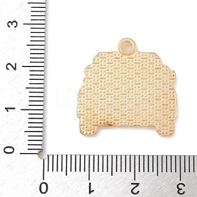 Thanksgiving Day Alloy Pendants LS-ENAM-R007-01G-06-1