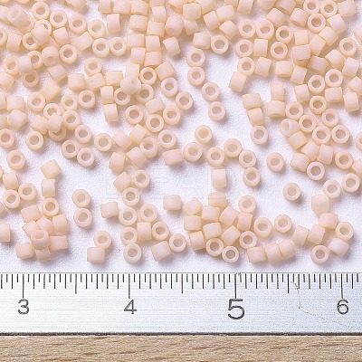MIYUKI Delica Beads SEED-J020-DB0354-1