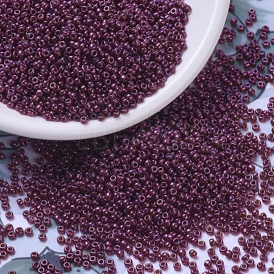 MIYUKI Round Rocailles Beads SEED-X0054-RR0313-1