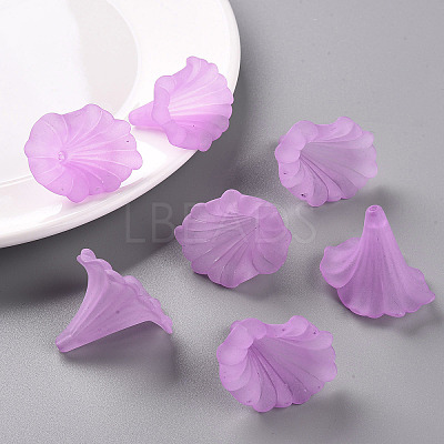 Transparent Acrylic Beads X-BSF796-C08-1