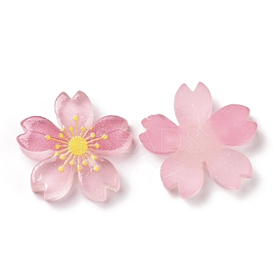 Luminous Resin Cabochons RESI-G030-01B-1