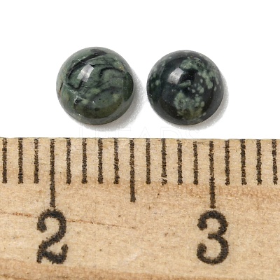 Natural Kambaba Jasper Cabochons G-Q173-01B-22-1