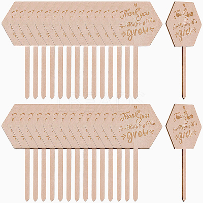 30Pcs Wooden Plant Labels DIY-GF0014-19B-1
