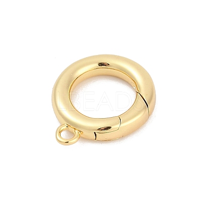 Brass Spring Gate Clasps KK-M311-25G-01-1
