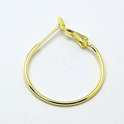 Brass Hoop Earrings X-EC259-G-1