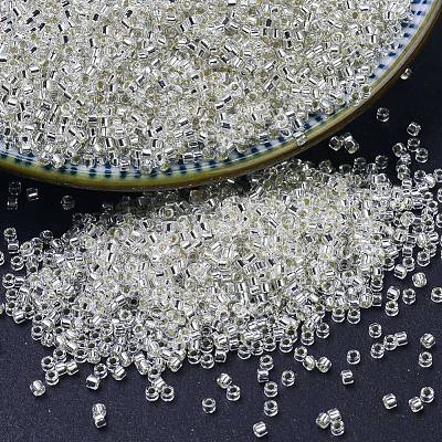 MIYUKI Delica Beads SEED-X0054-DB0041-1