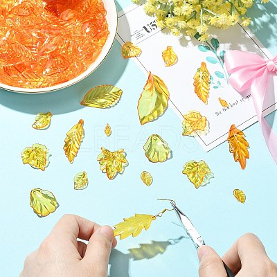 50G Transparent Acrylic Pendants TACR-CJC0005-05-1