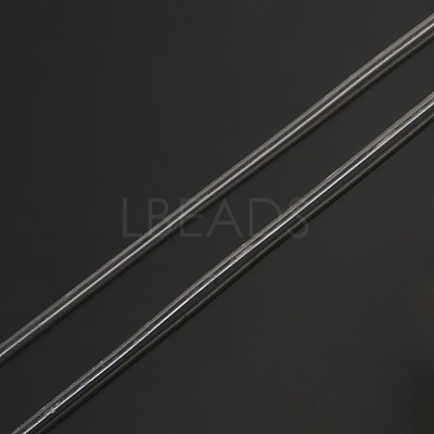 Transparent Fishing Thread Nylon Wire EC-L001-0.6mm-01-1