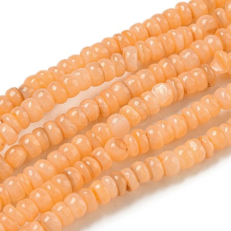 Dyed Natural Freshwater Shell Beads Strands X1-BSHE-G039-07A-1