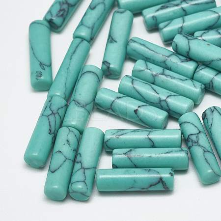 Synthetic Turquoise Beads TURQ-S290-03C-01-1