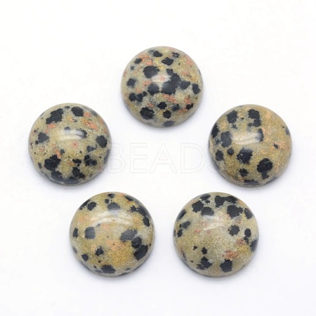 Natural Dalmatian Jasper Cabochons X-G-P393-R33-12mm-1
