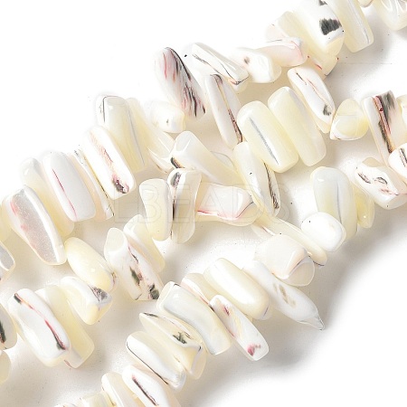 Dyed Natural Trochus Shell Beads Strands SSHEL-C013-09J-1