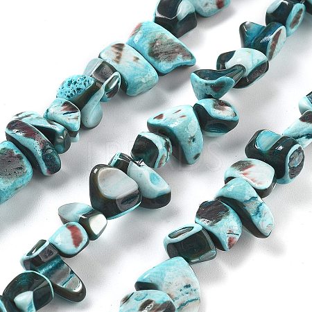 Dyed Natural Trochus Shell Beads Strands BSHE-Z006-01E-1