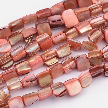 Natural Shell Beads Strands PBB049Y-1