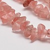 Cherry Quartz Glass Chip Beads Strands G-L269-41-2