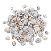 400G Natural Shell Beads SHEL-GA0002-31-1