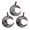 Natural Sodalite Pendants G-L602-01R-14-1