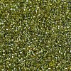 MIYUKI Delica Beads X-SEED-J020-DB2377-3