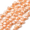 Natural Cultured Freshwater Pearl Beads Strands PEAR-I007-03B-01C-2