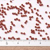 MIYUKI Delica Beads SEED-J020-DB2288-4