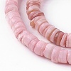 Natural Shell Beads Strands X-SSHEL-E571-49A-3
