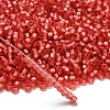 TOHO 6/0 Round Beads SEED-XTR06-2201-2