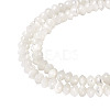1 Strand Natural Trochus Shell Rondelle Beads Strands SSHEL-TA0001-16A-2