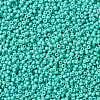 MIYUKI Round Rocailles Beads X-SEED-G008-RR4475-4