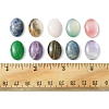 10Pcs Natural Mixed Gemstone Cabochons G-FS0005-68-7