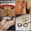 DIY Findings Kits DIY-PA0001-70-5