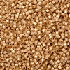 MIYUKI Delica Beads X-SEED-J020-DB2171-3