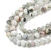 Natural Tree Agate Beads Strands G-RM250104-D6-4