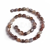 Natural Botswana Agate Beads Strands G-D0002-D81-2