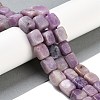 Natural Lepidolite Beads Strands G-M403-D06-01-2