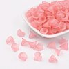 Transparent Acrylic Beads PL622-C10-3