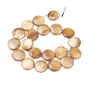 Natural Freshwater Shell Beads X-BSHE-I011-01A-01-2