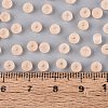 FGB Frosted Transparent Glass Seed Beads SEED-N013-02A-03-4