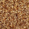 Plated Glass Bugle Beads SEED-S046-01A-22B-2