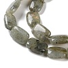Natural Labradorite Beads Strands G-K357-D16-01-4