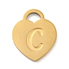 Ion Plating(IP) 304 Stainless Steel Pendants FIND-M017-01G-C-1