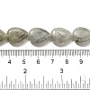 Natural Labradorite Beads Strands G-P561-B05-01-5