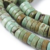 Natural Magnesite Beads Strands TURQ-L030-04B-02-2