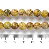 Dyed Natural Regalite/Imperial Jasper/Sea Sediment Jasper Beads Strands G-B124-C01-07-5