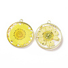 Transparent Clear Epoxy Resin Pendants RESI-L036-12G-04-1